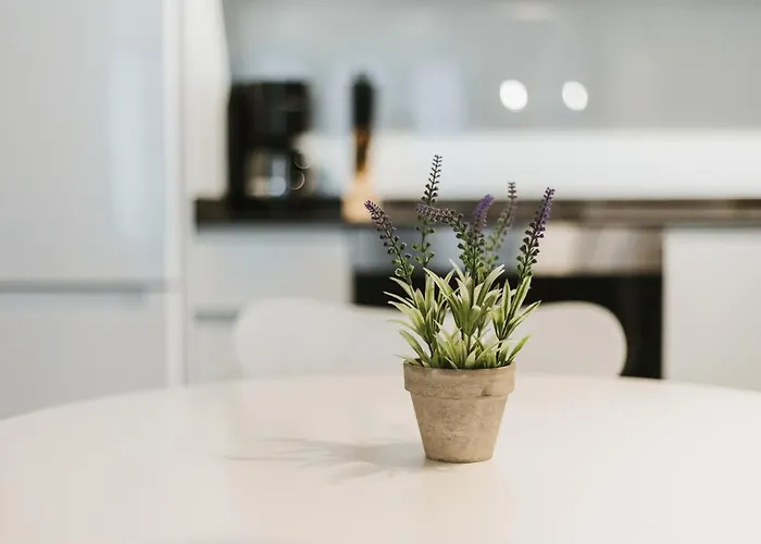 Mk77 Leon- Cantareros *