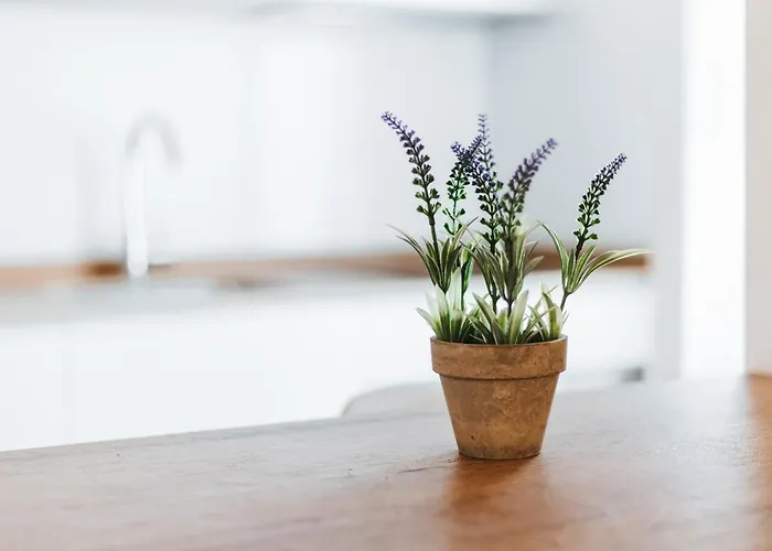 Mk77 Leon- Cantareros 아파트 레온